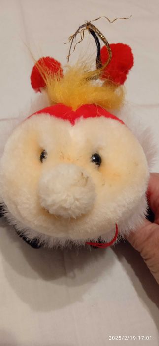 Милые божья коровка и черепаха