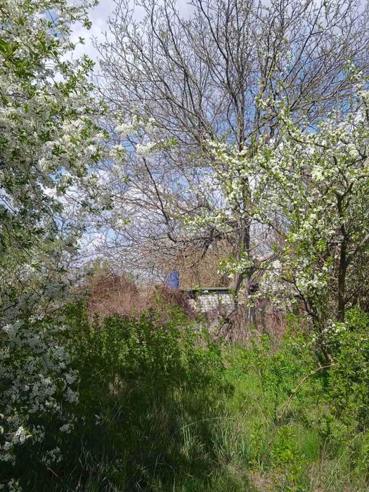 Дачна ділянка у кооперативі "Будівельник"