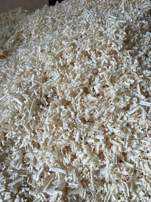 Wiòry sosnowe suche