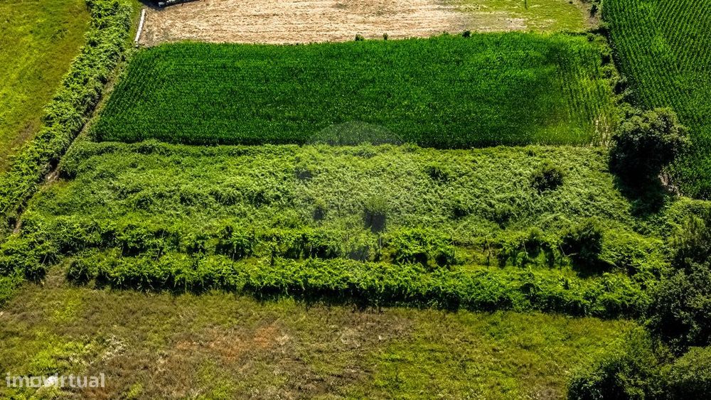 Terreno  para venda
