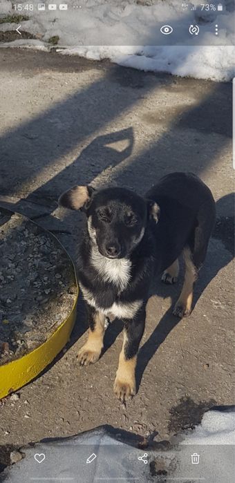 Маленька дівчинка: 1 рік, 5 кг