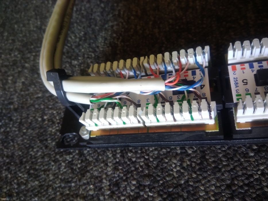 Molex Painel 24 Portas / Canais CAT 5 RJ45 1 Unidade Rack 19''