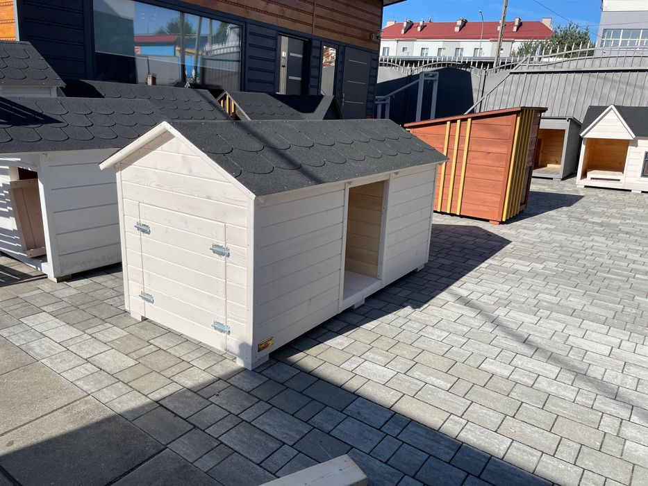 Buda dla dwóch psów