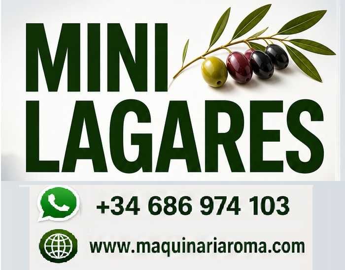 Lagar de azeite com Prensa com Macaco