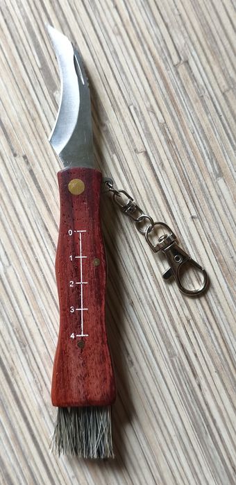 Nóż na grzyby scyzoryk nożyk do grzybów