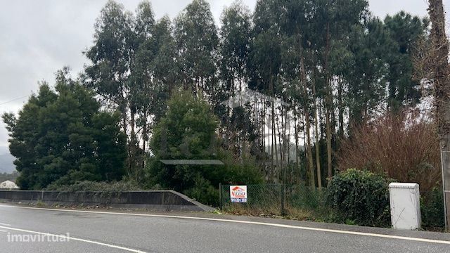 Terreno Rústico em Canedo com 1300m2. — Canedo, Vale E Vila Maior, Aveiro