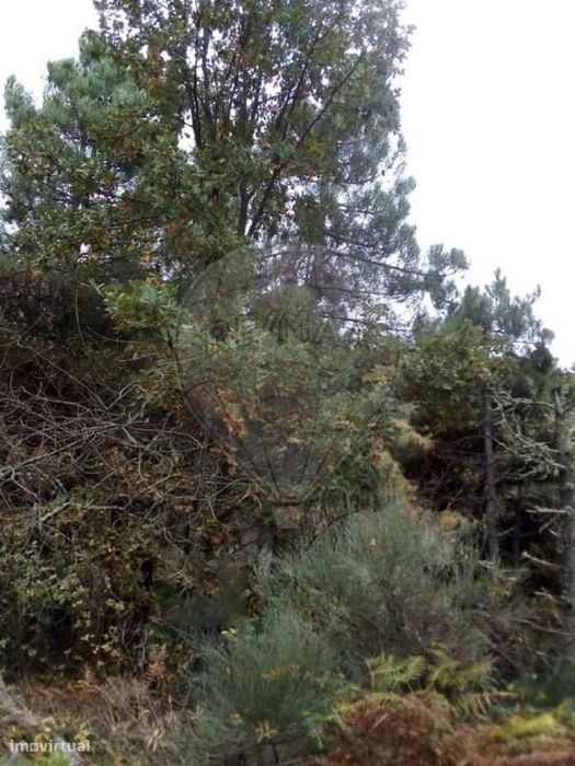 Terreno  para venda
