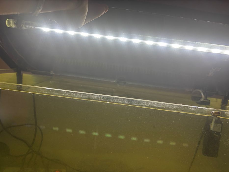 akwarium aquel 112 l z rybkami