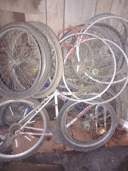 Roda de bicicleta