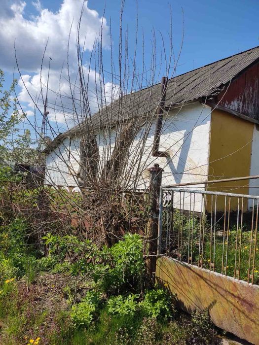 Продаж будинку село Ромашки. Білоцерківський район.