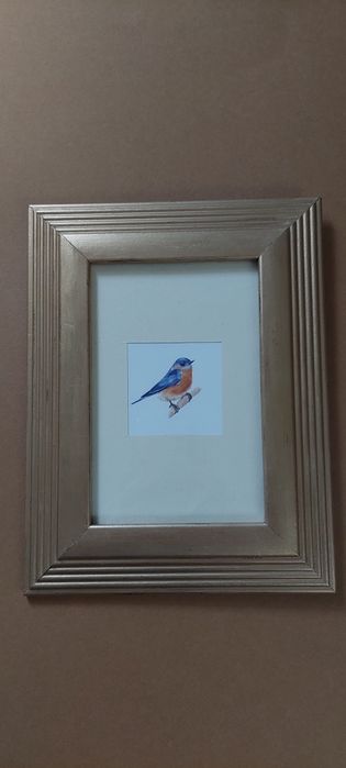 Obrazek ornitologiczny .