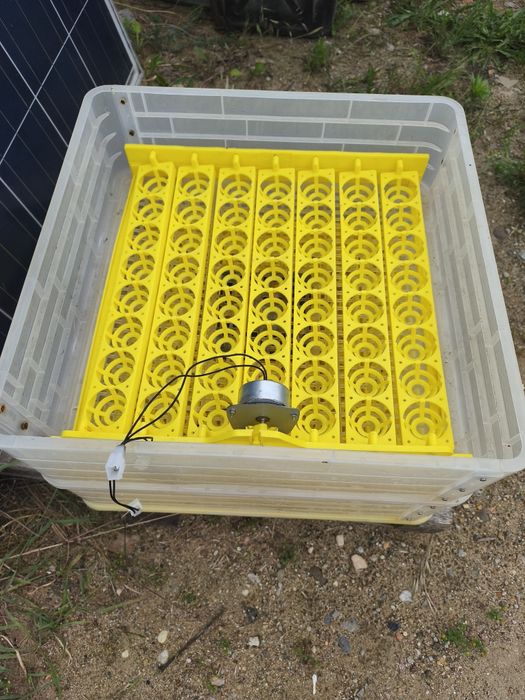 Inkubator do wylęgu jak
