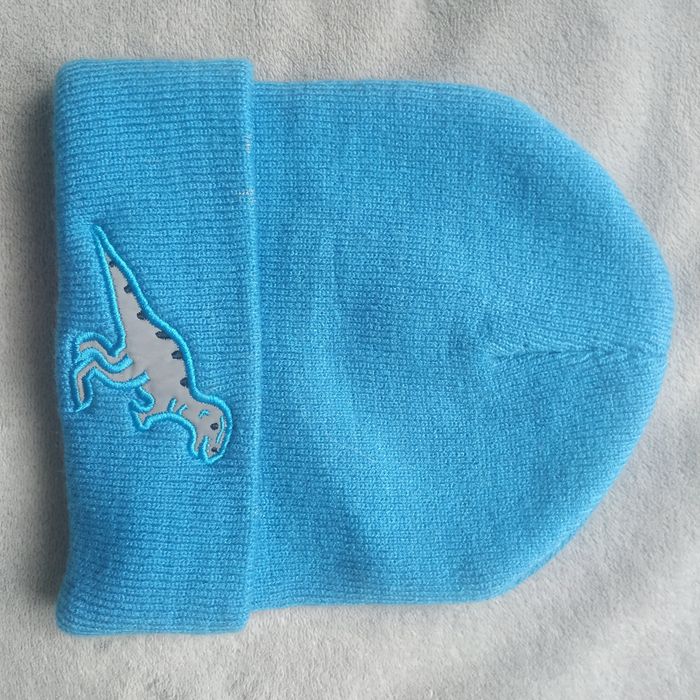Nowa czapka z odblaskowym dinozaurem