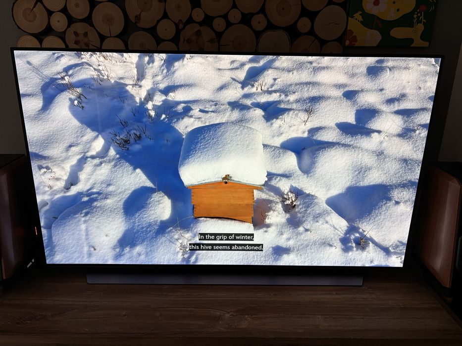 Lg 55cx  OLED 4K 120Hz