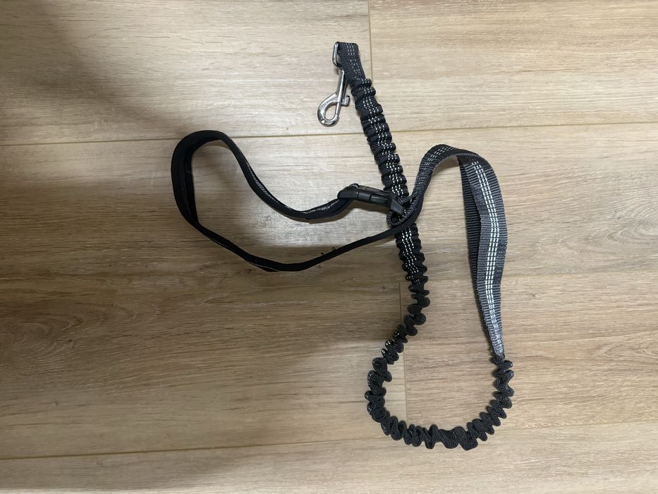 Біговий повідець для бігу з собаками