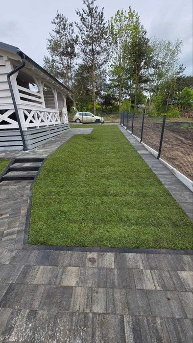 Trawa w rolce *Premium - PLANTACJA