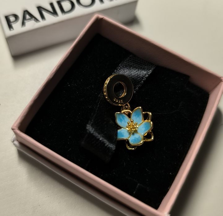 Charms do Pandora