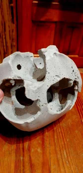 Коряга, Вимочена, виварена.