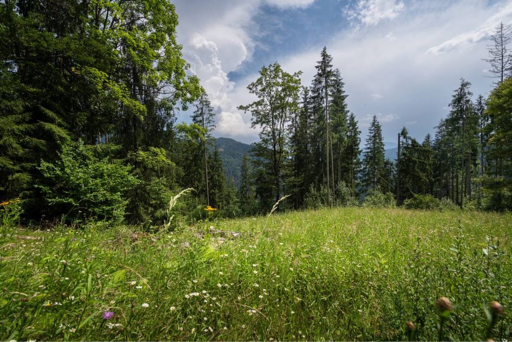 ЕКСКЛЮЗИВНА земельна ділянка площею 300 сот.