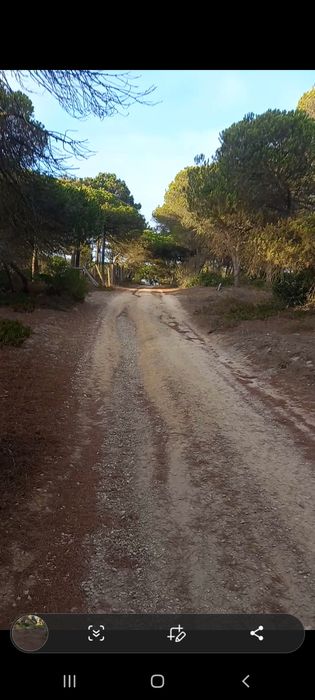 Lotes terreno em cabo espichel / sesimbra