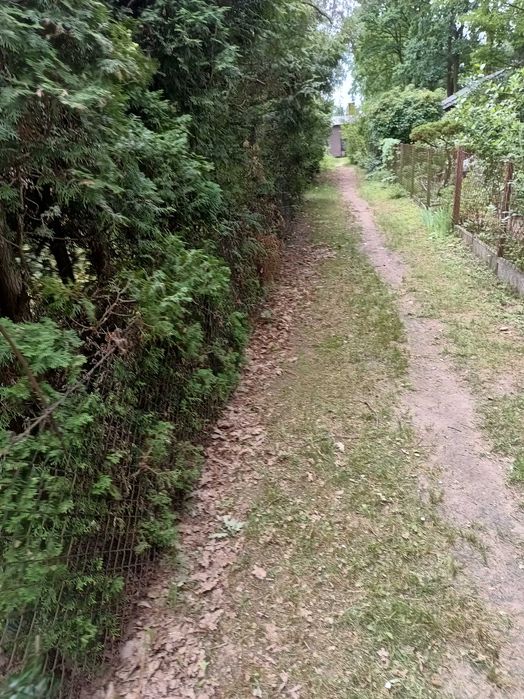 Koszenie GRABIENIE Prace ogrodowe, ROD i inne - 7 DNI W TYGODNIU