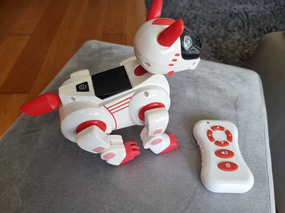 Cão "Inteligente" com comando infravermelhos