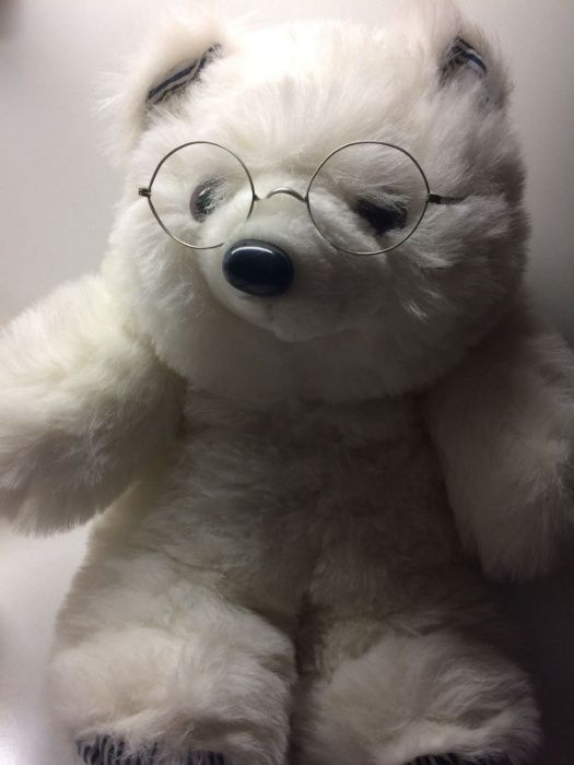 Urso de Peluche - The Reinhart Collection