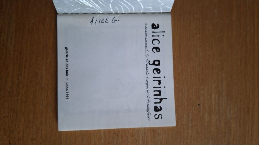 Alice Geirinhas 1995 arte contemporânea desenho