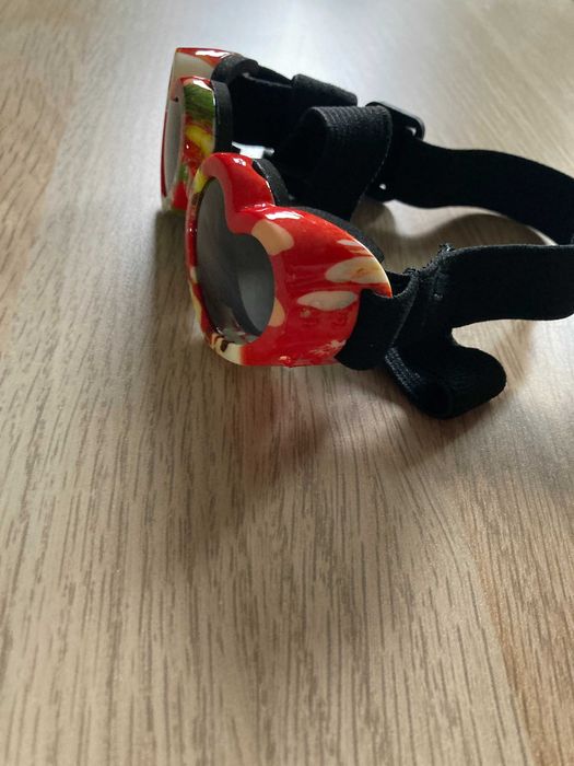 okulary dla psa (dog's goggles)