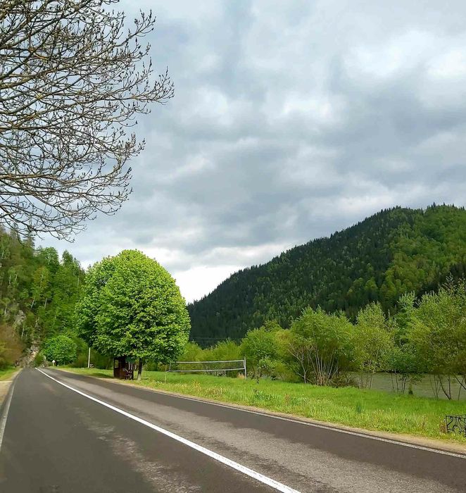 Оренда будинку в Карпатах / Відпочинок в Карпатах