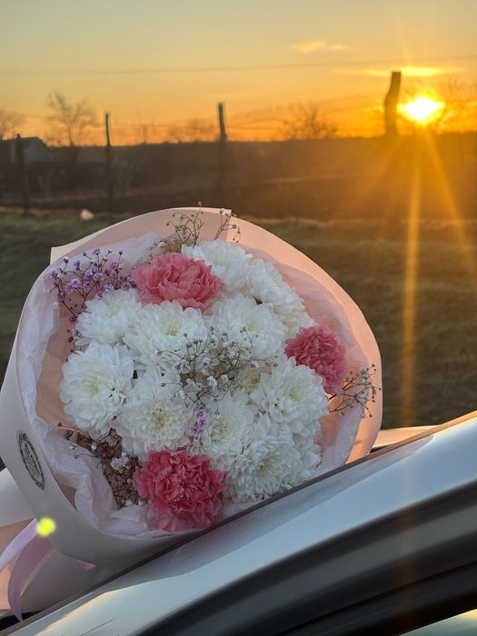 Сниму квартиру 1 к