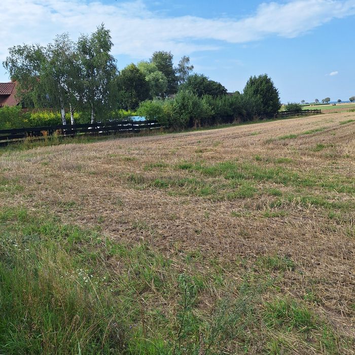 Działki budowlane w Ciszkowie gmina Czarnków ( województwo wielkopolskie) - Więcej