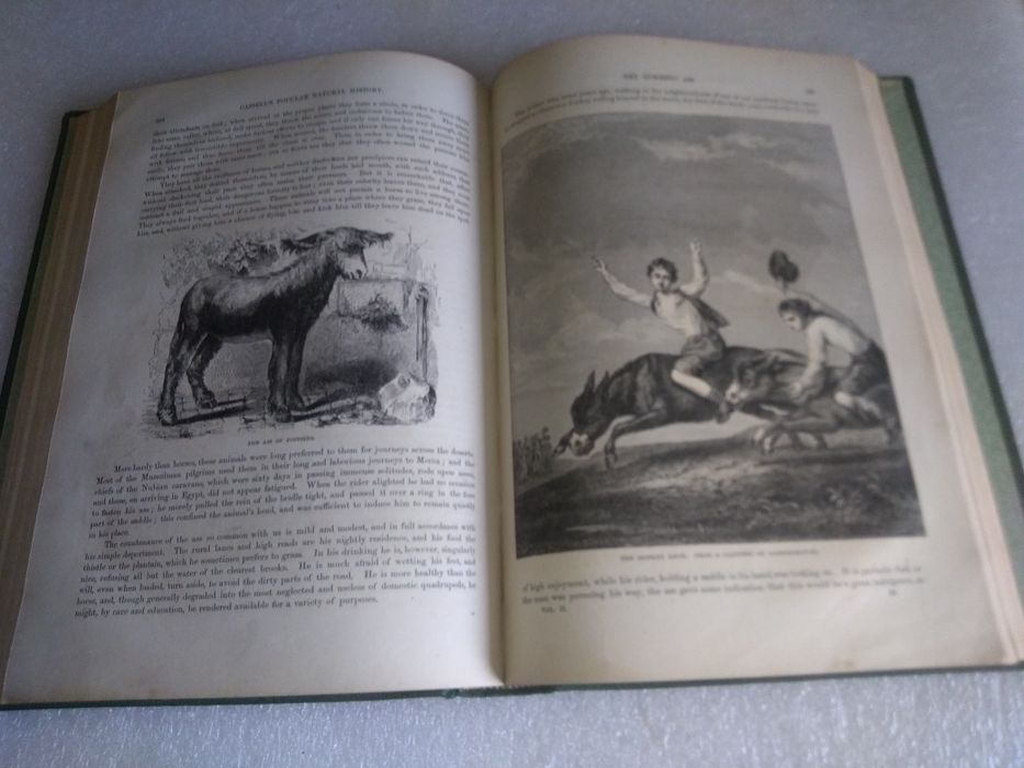 Raro e Antigo Livro cassell's popular natural history vol.2