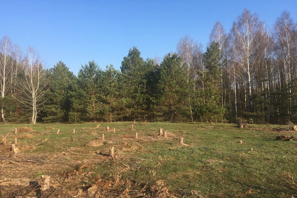 Продаж земельної ділянки в с. Свидівок