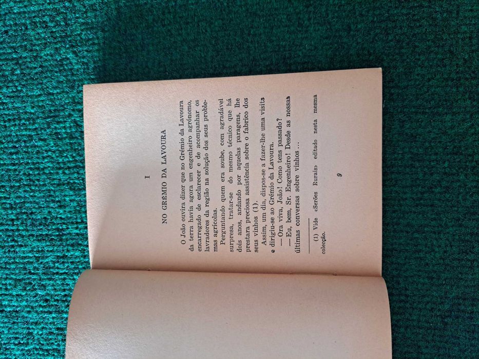 A Vinha - Alfredo Baptista