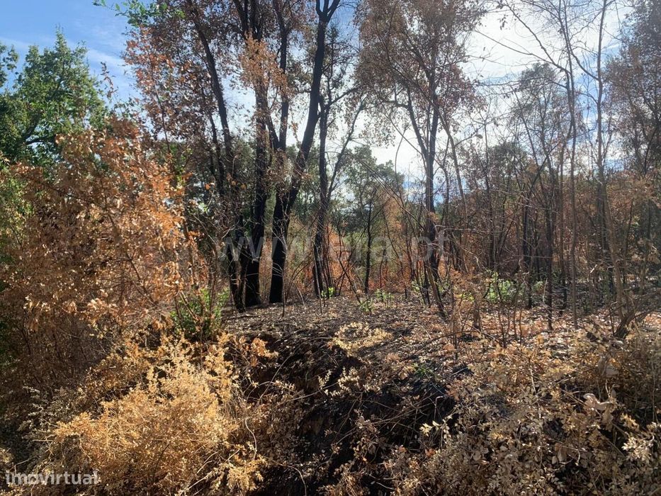 Terreno / Fundão, Freixial