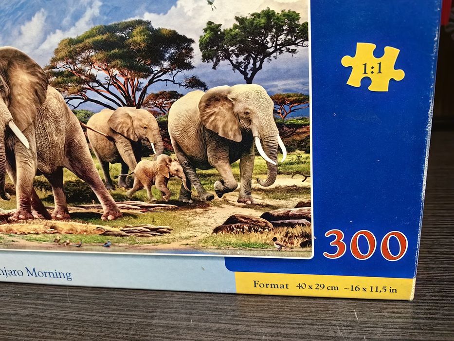 Puzzle, 300 elementów