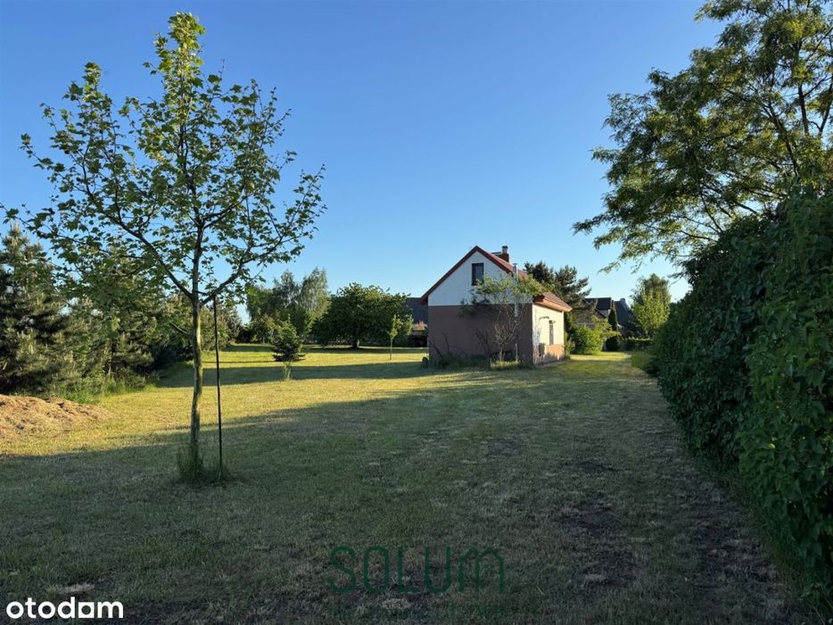 Działka Dąbcze 2572 m2