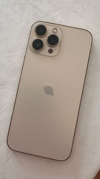 iPhone 13 Pro Max