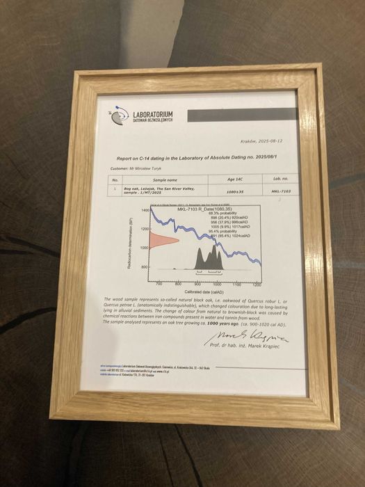 Stolik z czarnego dębu - 1000 lat
