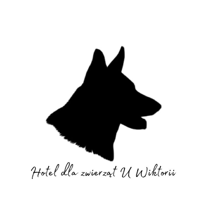 Opieka nad kotem lub małym zwierzakiem