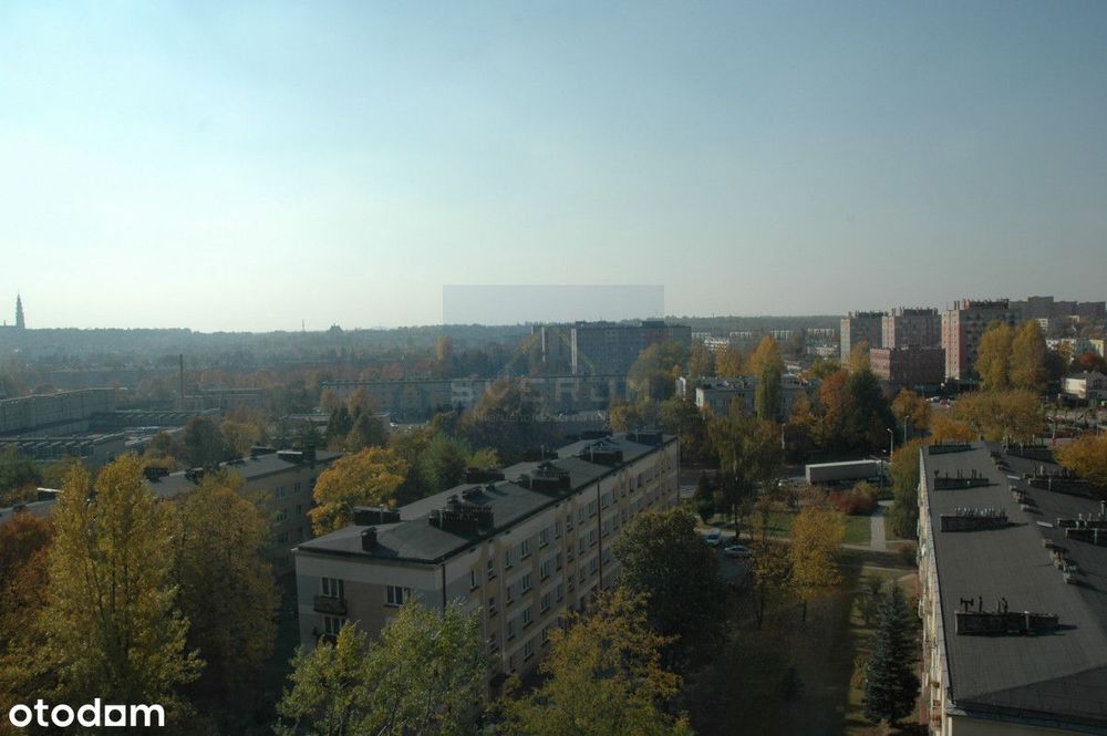Zdjęcie 8