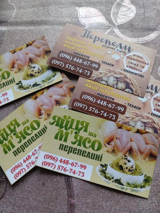 Продам інкубаційні яйця