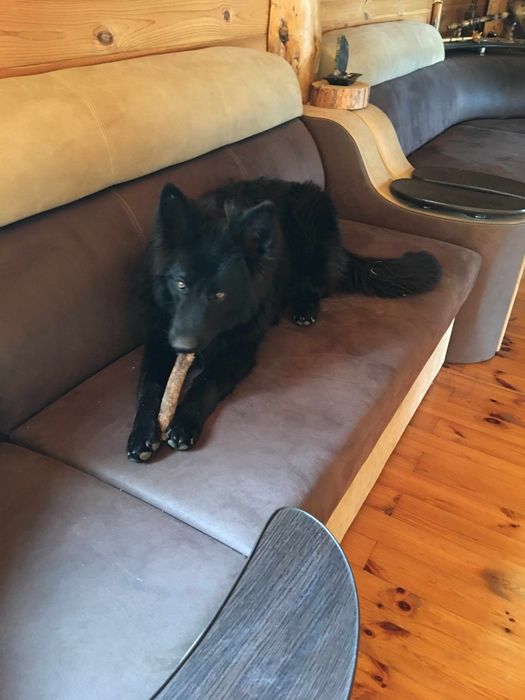 Гарний парубок Німець шукає собі дівчінку для шаленного коханняо