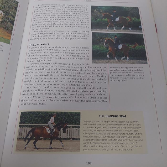 The complete equine training manual