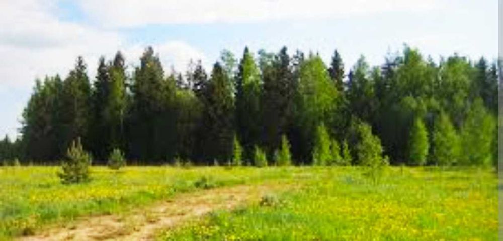 Ділянка с.Горбовичі 1га 30000у.о.