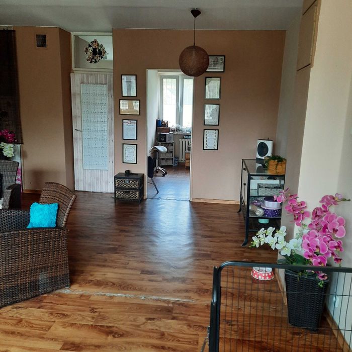 Wynajmę czesc lokalu uzytkowego na Radogoszczu Zachodzie Łódź