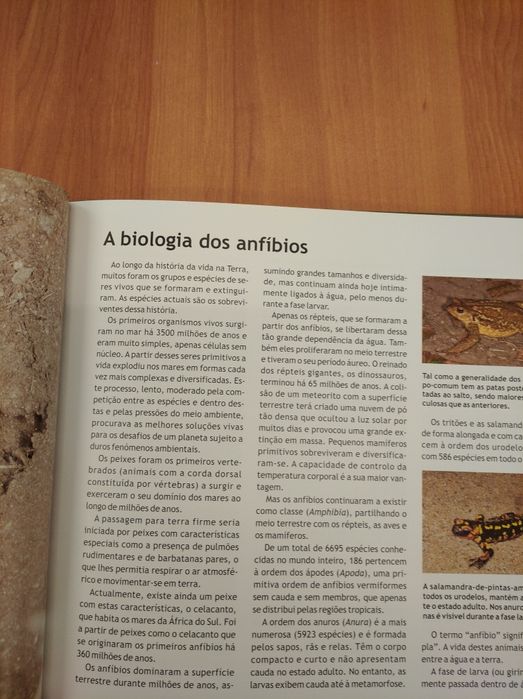 Livro "Anfíbios de Portugal"