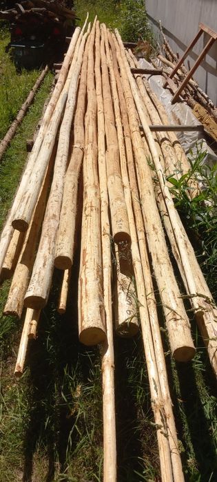 Komplet tyczek do dużego Tipi (Tio Tipi)