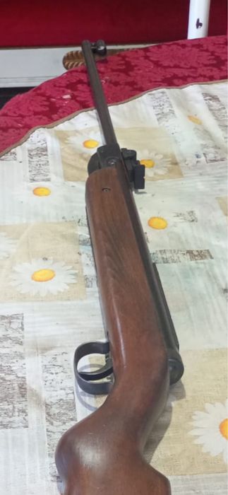 Para caça em otimo estado